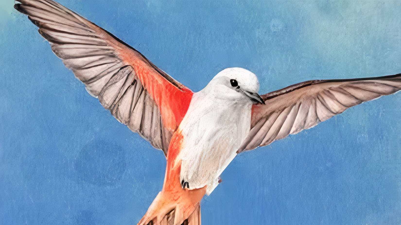 A bird from the Wingpan art flying.