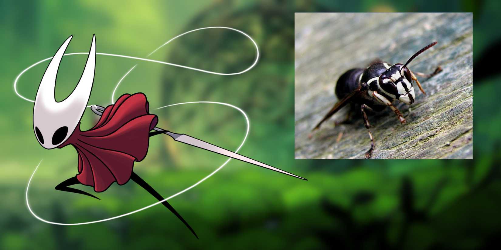 What Kind Of Bugs Are These Characters From Hollow Knight: Silksong?