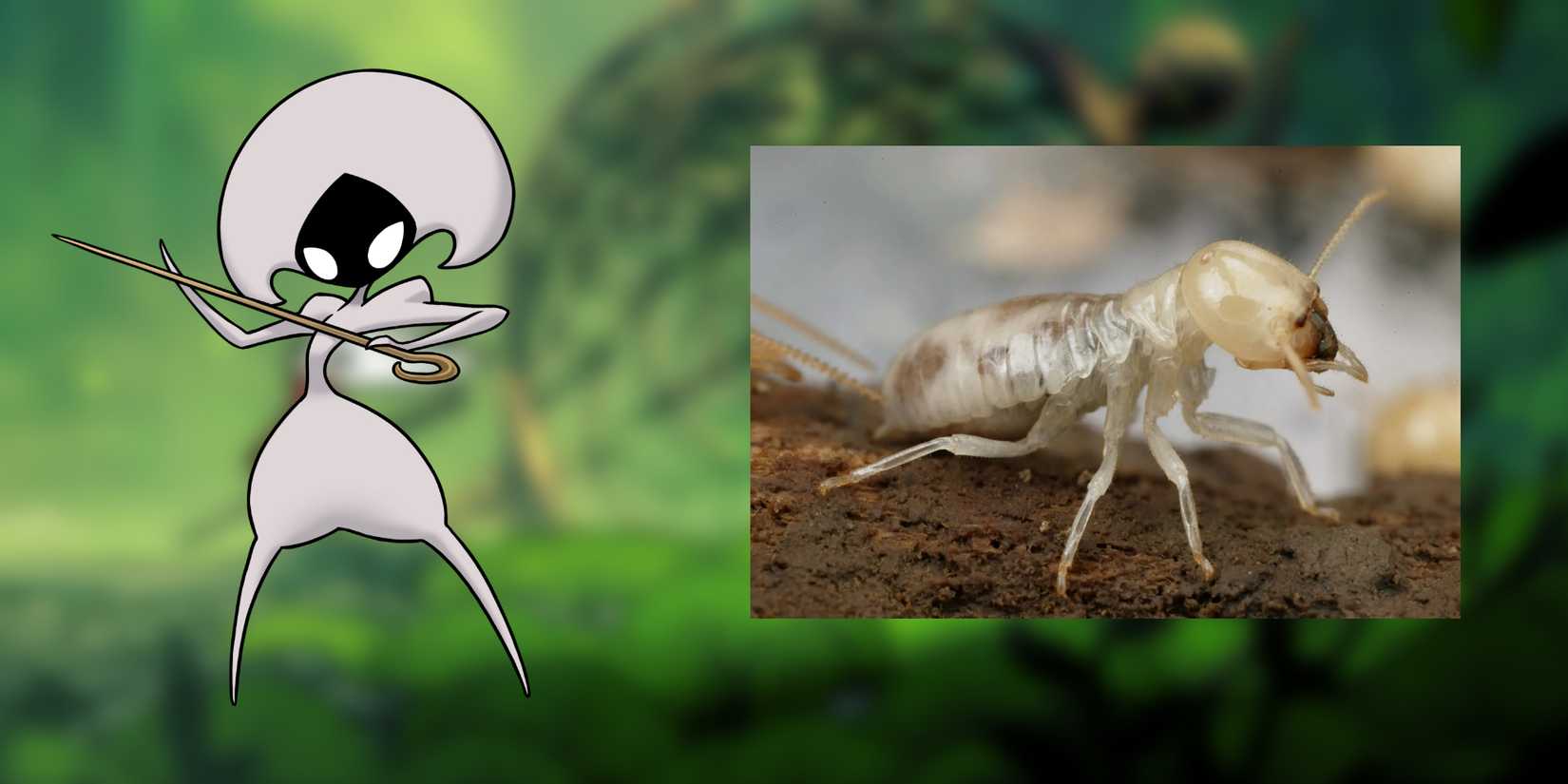 The Knight Insect What Kind Of Bugs Are These Characters From Hollow Knight: Silksong?