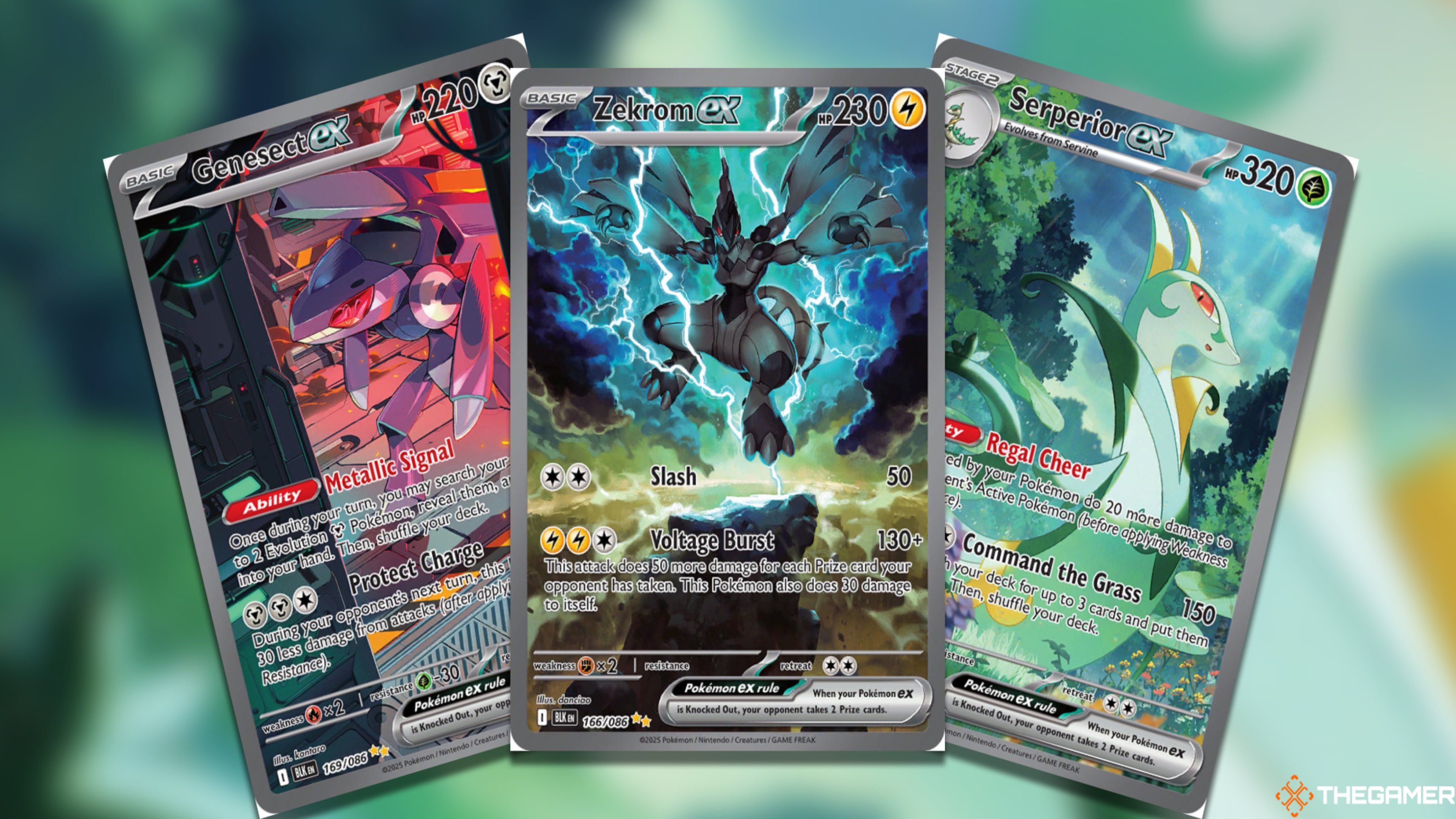 The Best Black Bolt SIRs In The Pokemon TCG