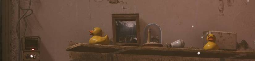 Ark Raiders trinkets on the shelf