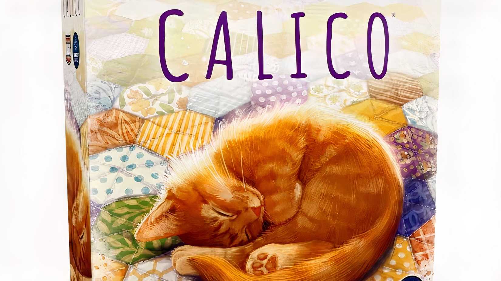 Calico board game box with a cat lying on a blanket.