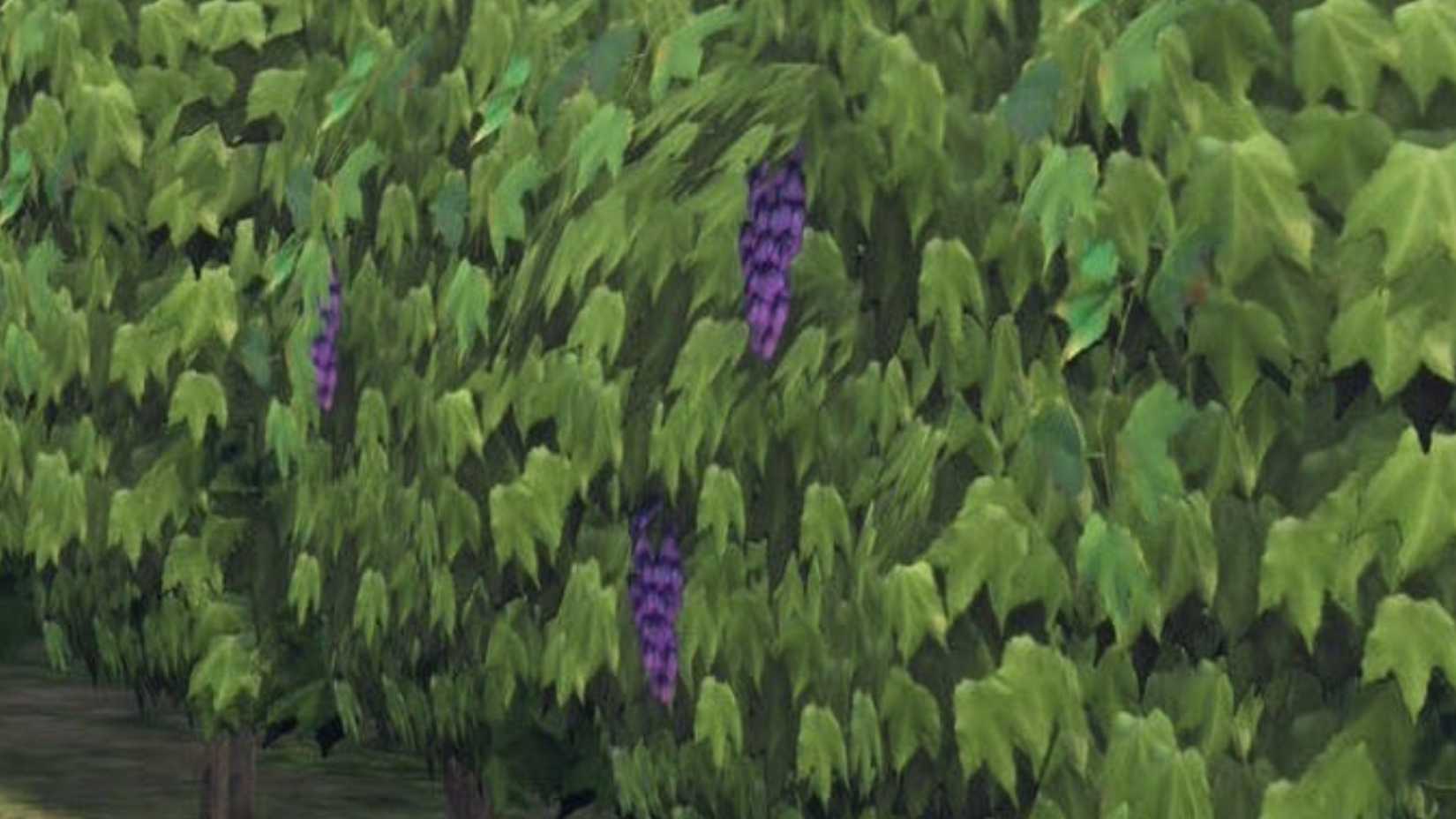 ポケモンレジェンド:Z-Aのローポリブドウ畑がファイナルファンタジー14と比較されている