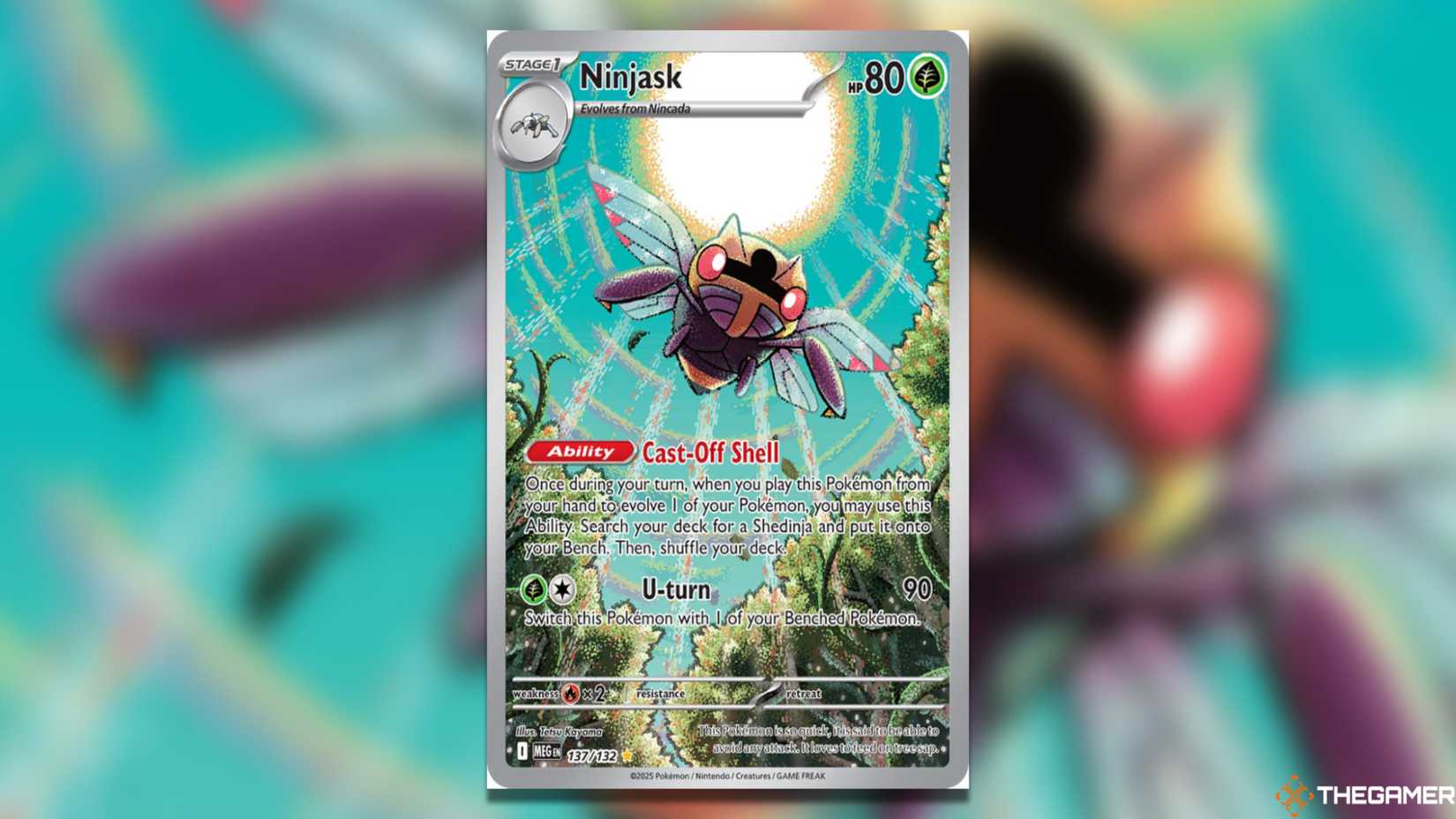 Best Mega Evolution Illustration Make Ninjask Rare in Pokemon TCG.