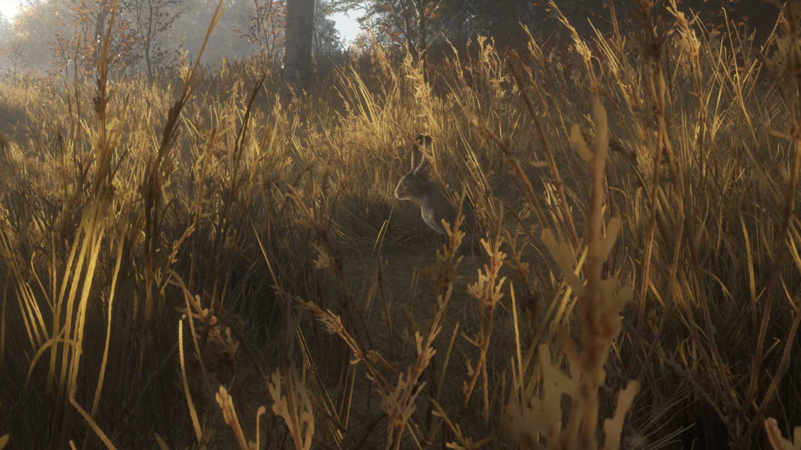 A rabbit in the grass from TheHunter Call of the Wild.