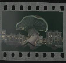 No I'm Not a Human in the Shroom or Doom ending icon.