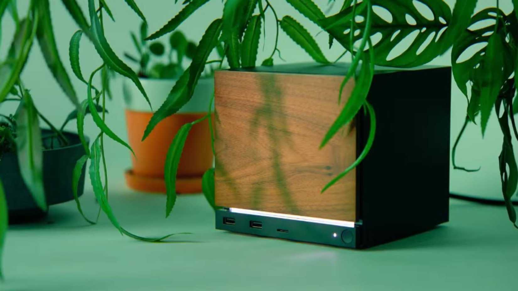 Valve steam engine with a wood finish panel around some plants.