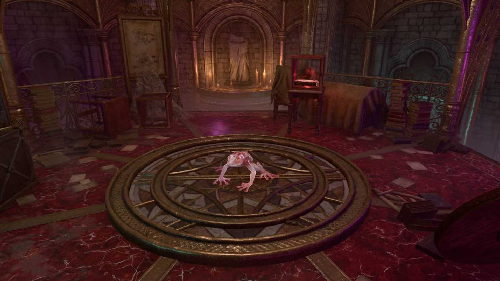 An image of Baldur's Gate 3 showing the familiar frog.