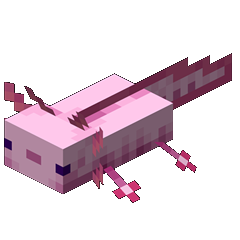 Minecraft Axolotl portrait.