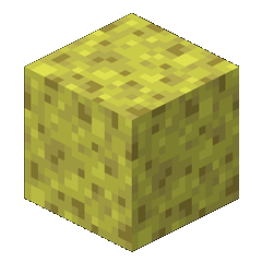 Minecraft Sponge portrait.