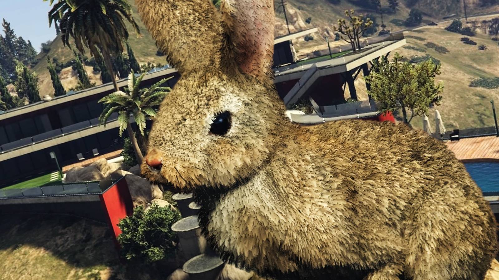 Rabbit in a GTA Online mansion.