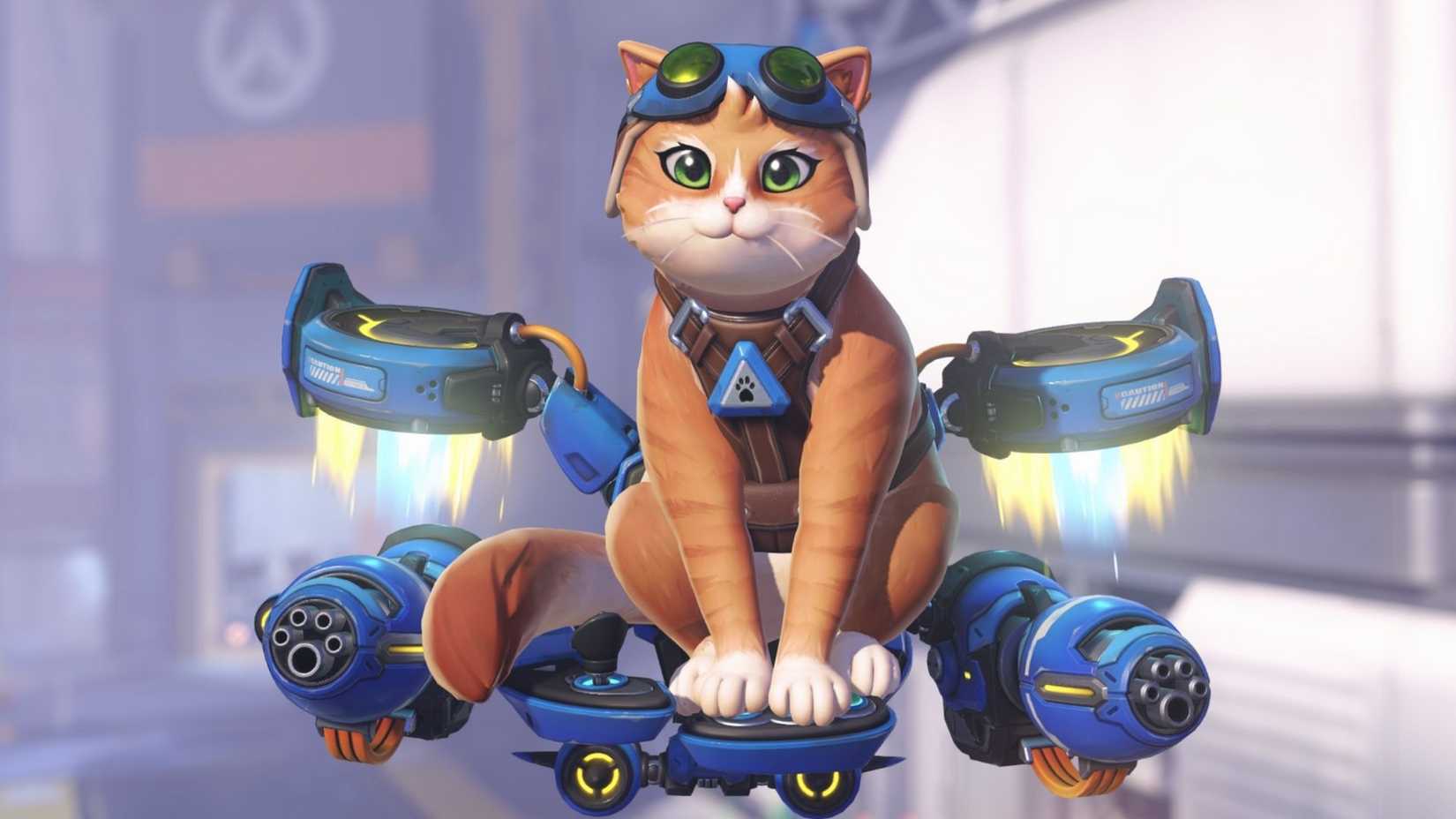 Jetpack Cat floating in Overwatch.