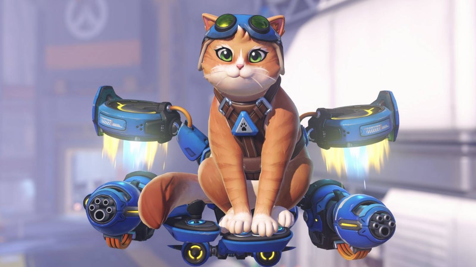 Blizzard fügt Overwatch endlich einen Katzenhelden hinzu