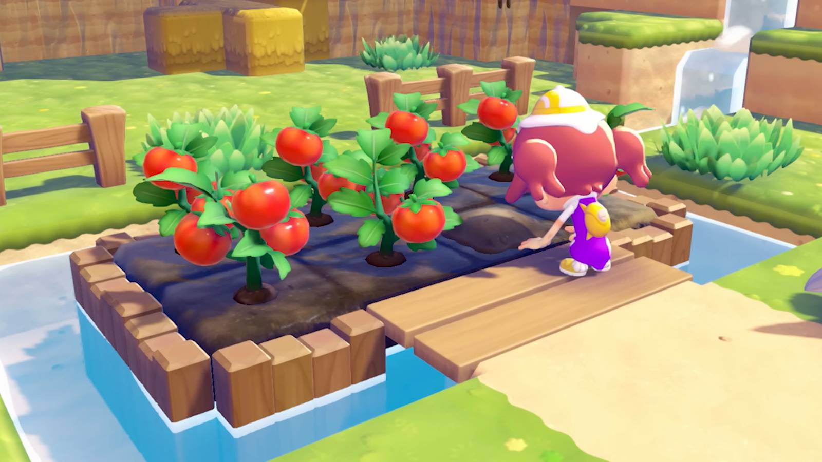 Pokemon Pokopia Fans Have Started Building Contraptions To Automate Farming