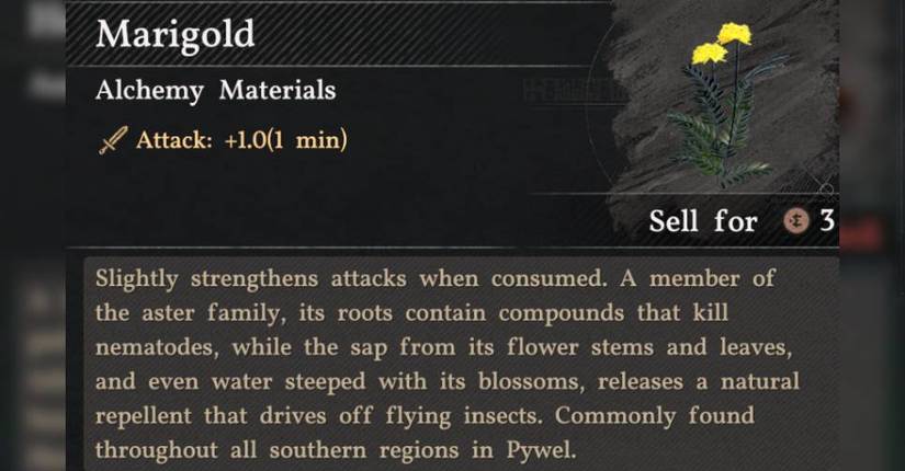All Alchemy Materials And Where To Find Them In Crimson Desert