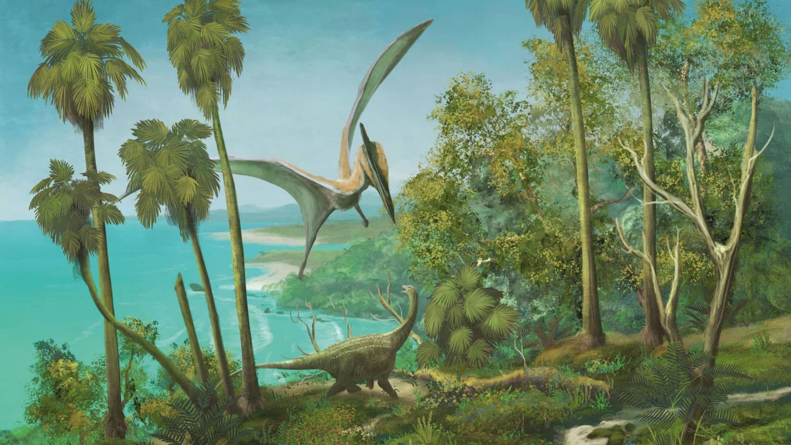 Alle neuen Charakteroptionen im D&D-Dinosaurierbuch