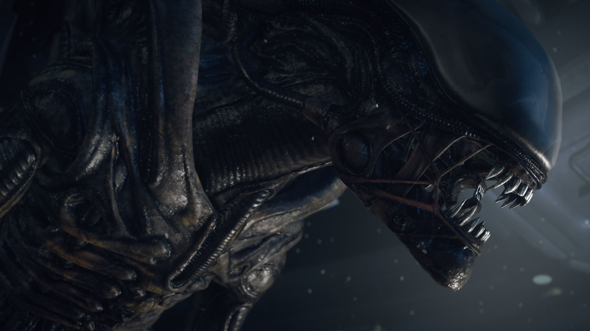 Alien Isolation screenshot of a xenomorph in space.