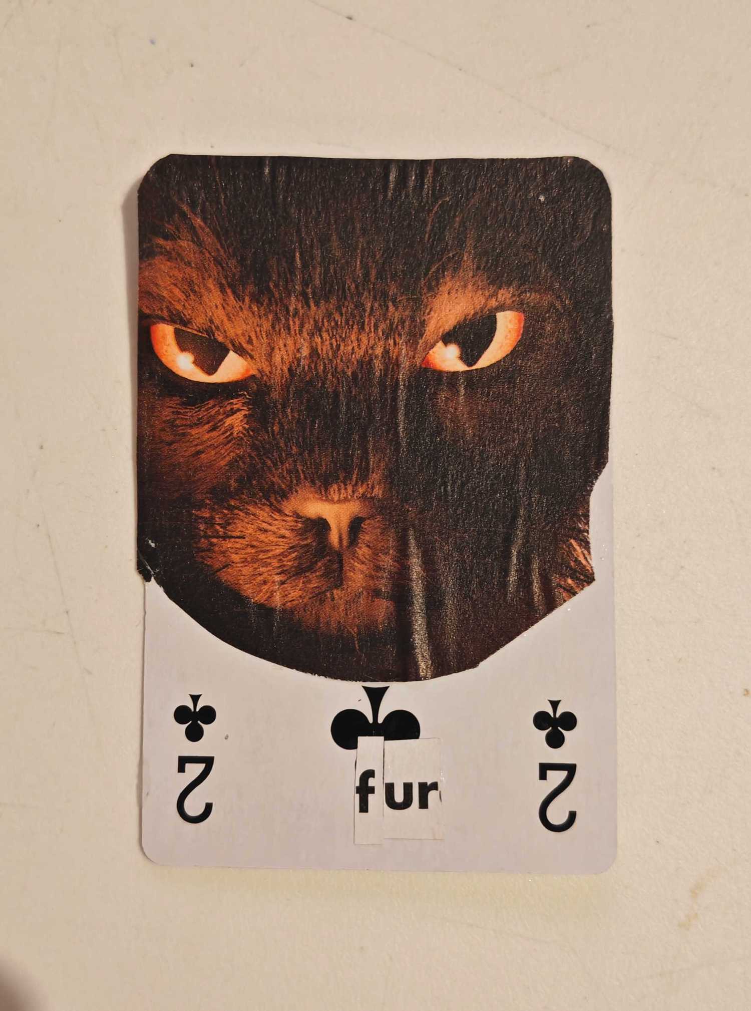 Ben Sledge Playing Card Collage of a Black Cat. 