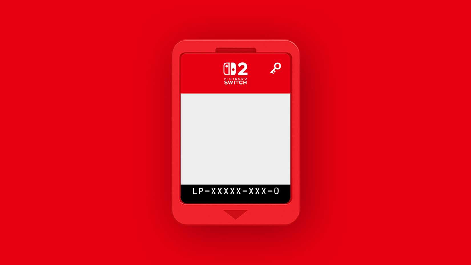 nintendo switch 2 blank card.