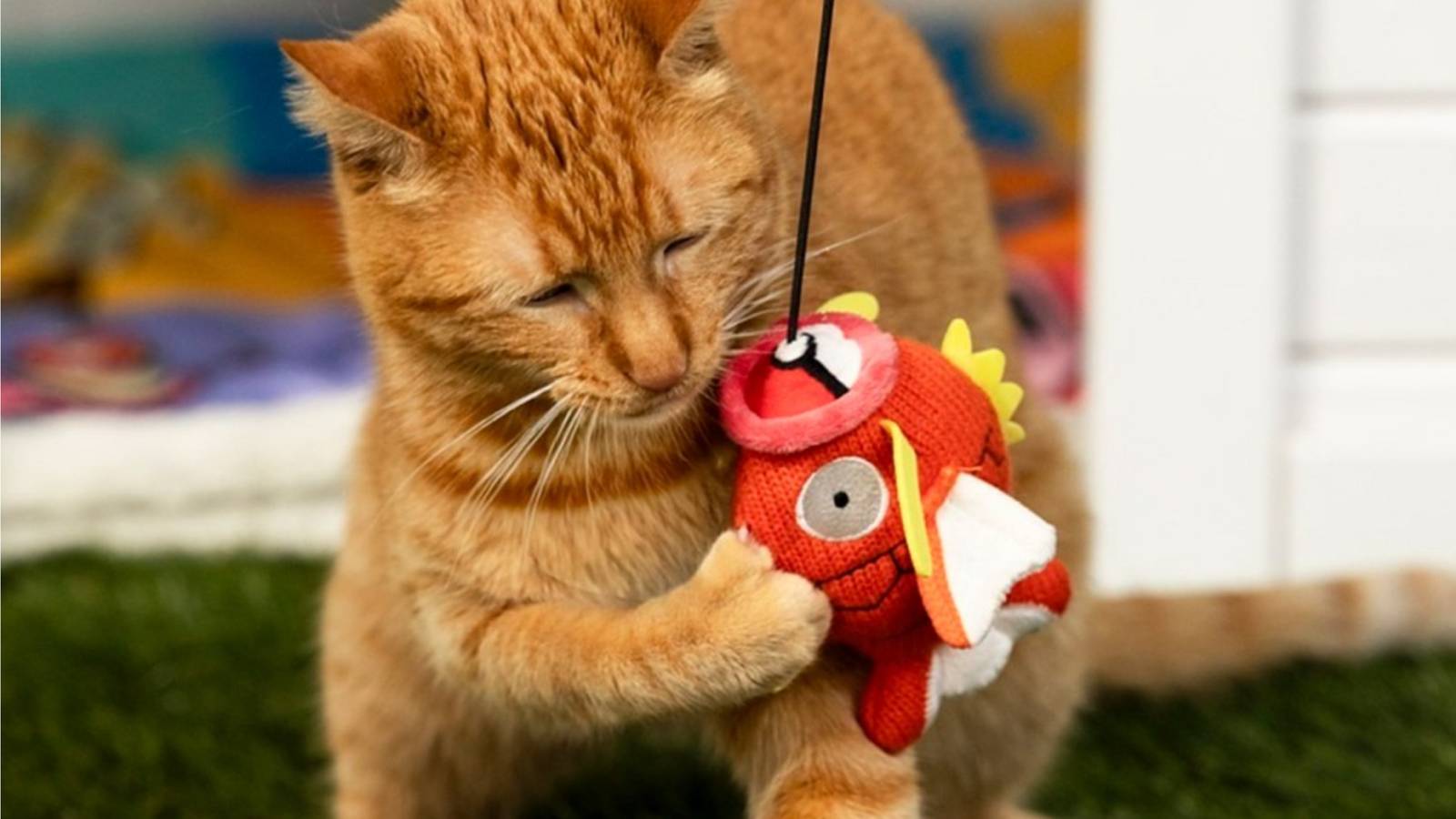 Pokemon Magikarp Cat Toys Hit eBay at Massive Markups