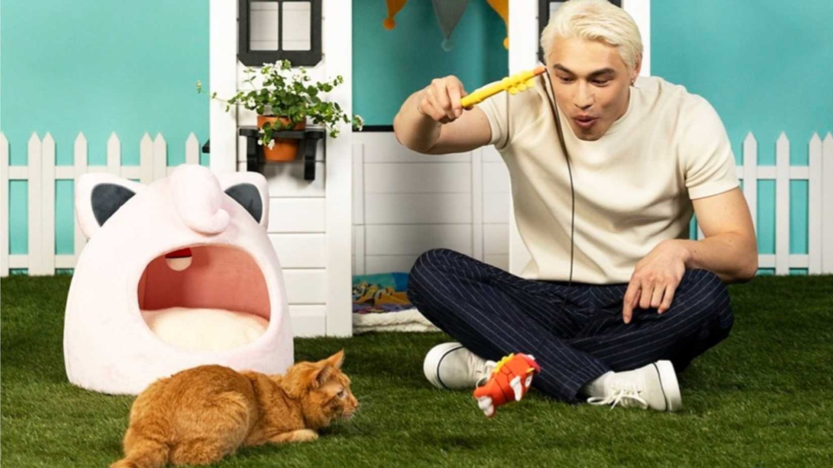 someone dangles a magic carp pet toy in front of a cat.