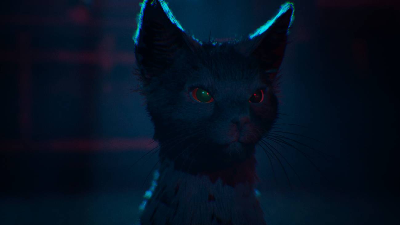 A black cat looking angry in 1666 Amsterdam.