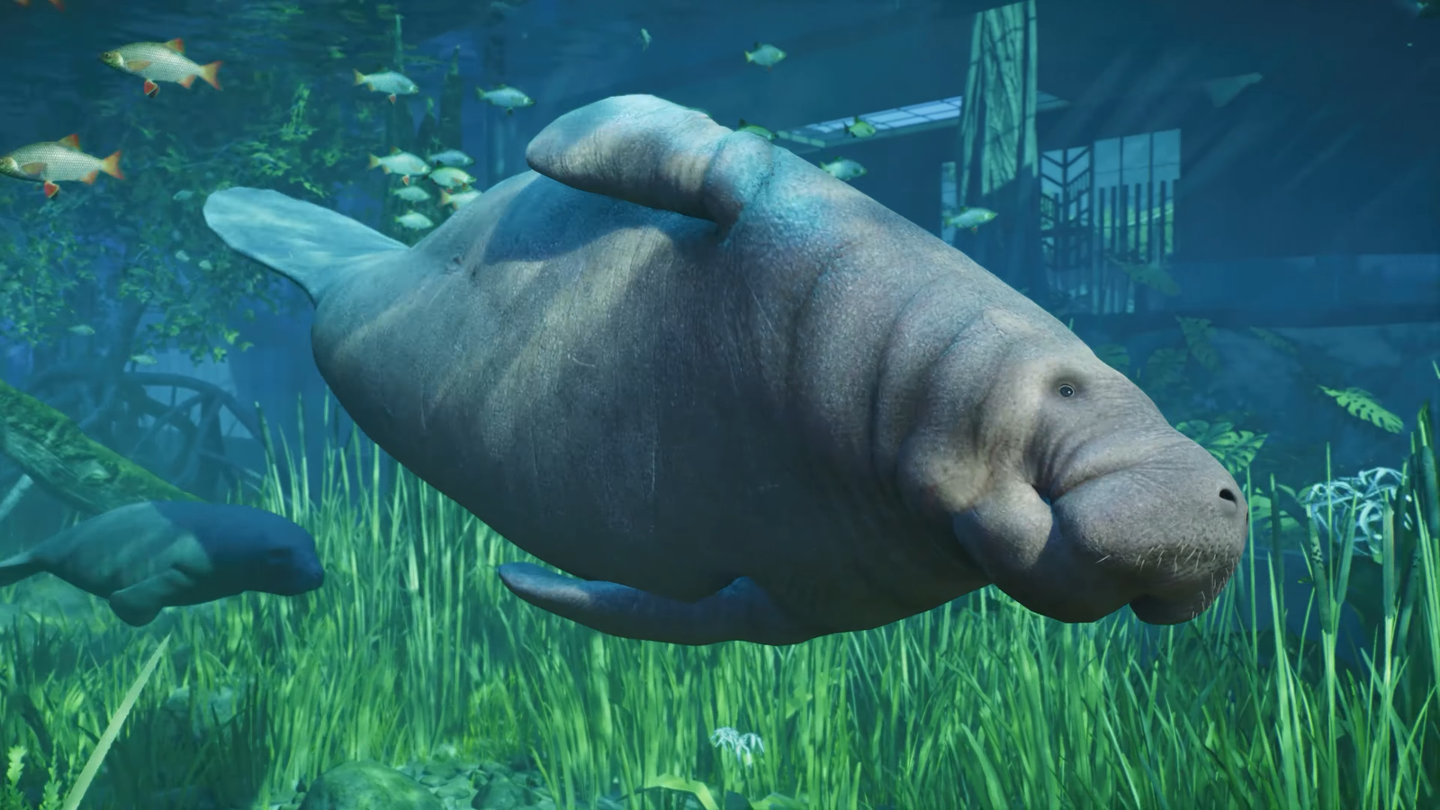 Planet Zoo 2 Hit With Wave Of Negative Reviews, Branded “Completely ...
