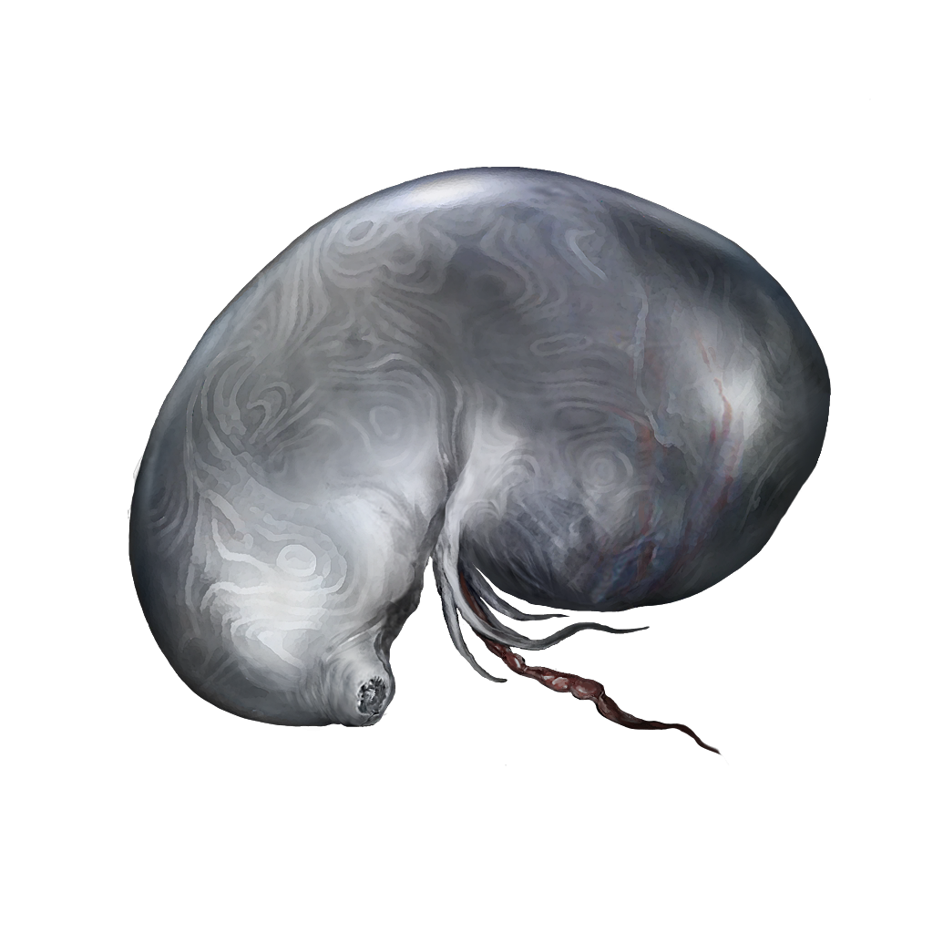 larval tear 4