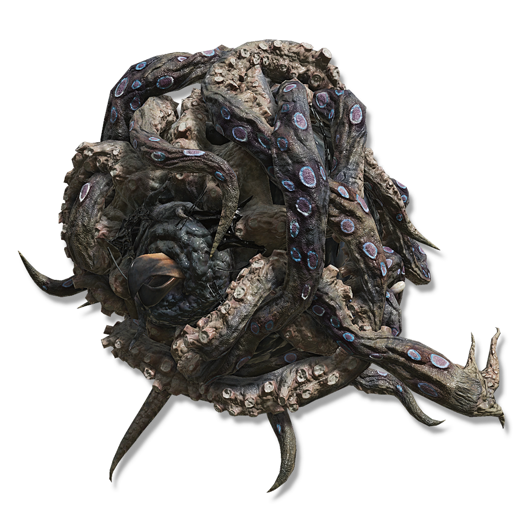 octopus head 2