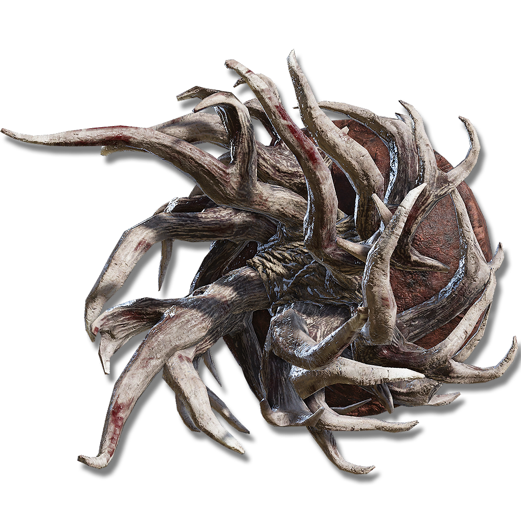 spiralhorn shield 2