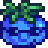 stardew valley qi fruit