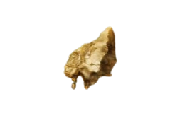 elden ring blessed bone shard