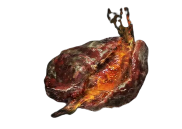 elden ring fireproof pickled liver
