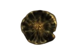 elden ring shadow realm rune 3