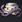 codex-icon_03.jpg?fit=contain&h=22&w=22