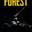 The Forest