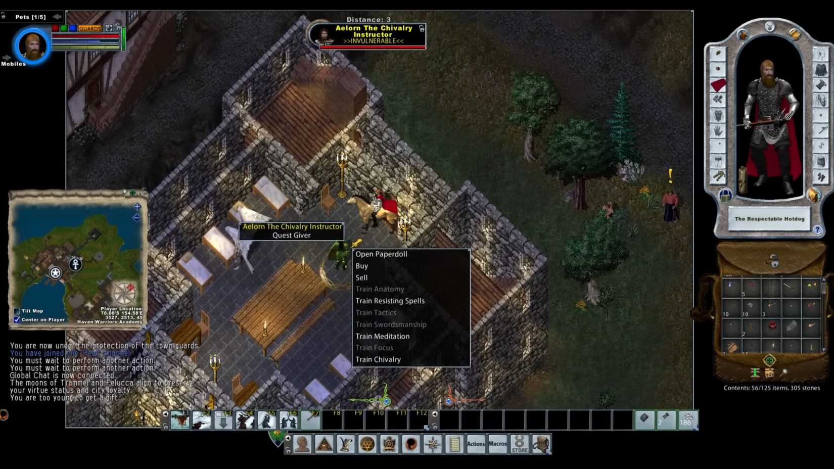ultima-online-in-game-screenshot-6.jpg