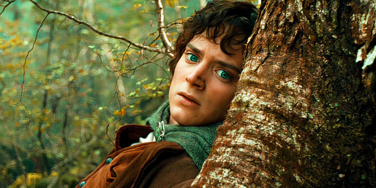 elijah wood hides behind a tree as frodo in the lord of the rings the fellowship of the ring