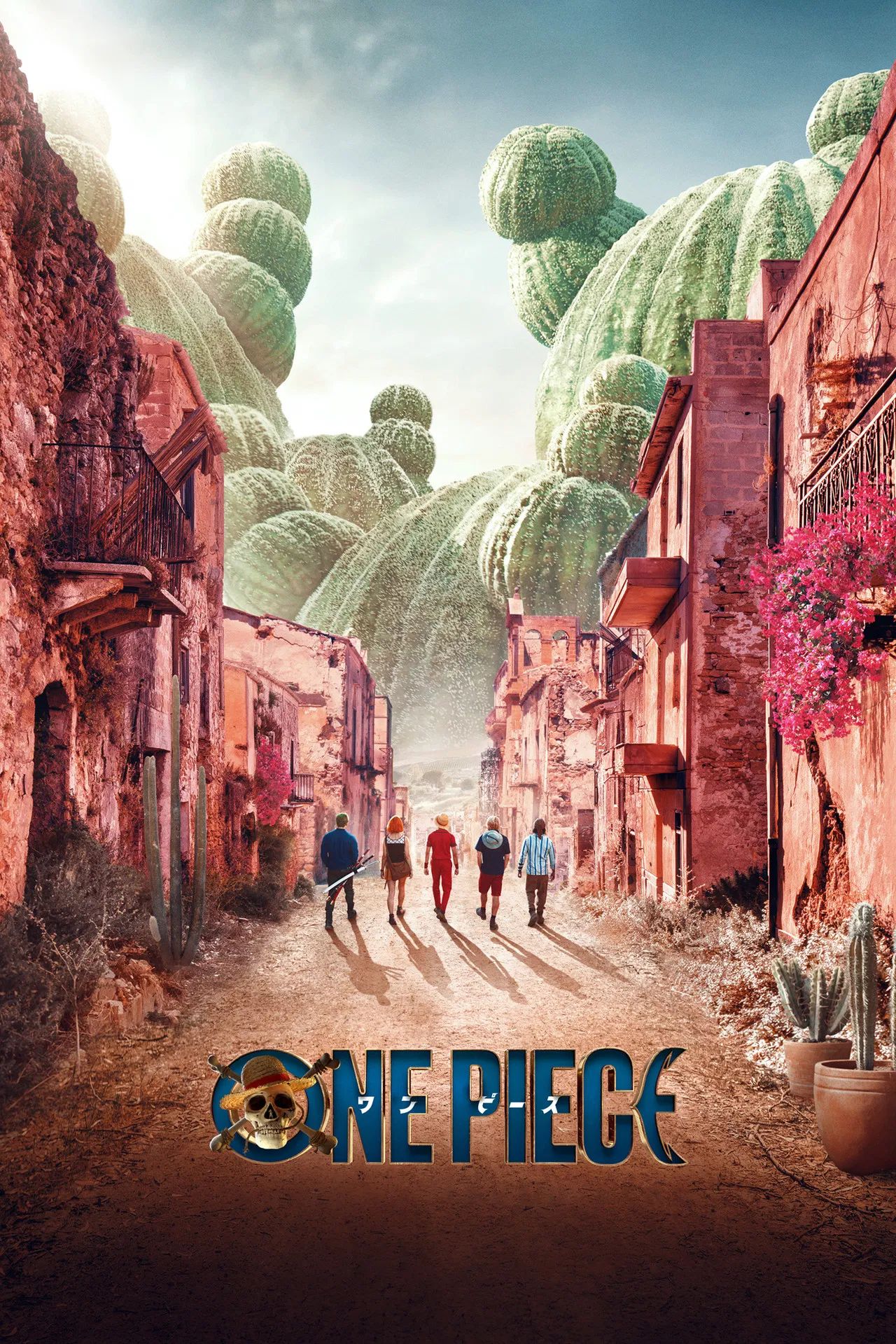 one piece poster
