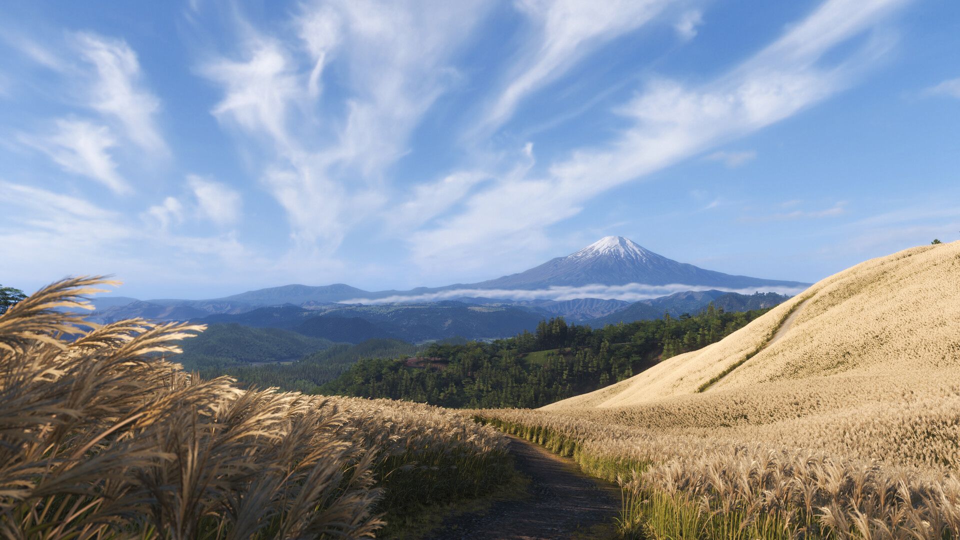 forza horizon 6 press image 14