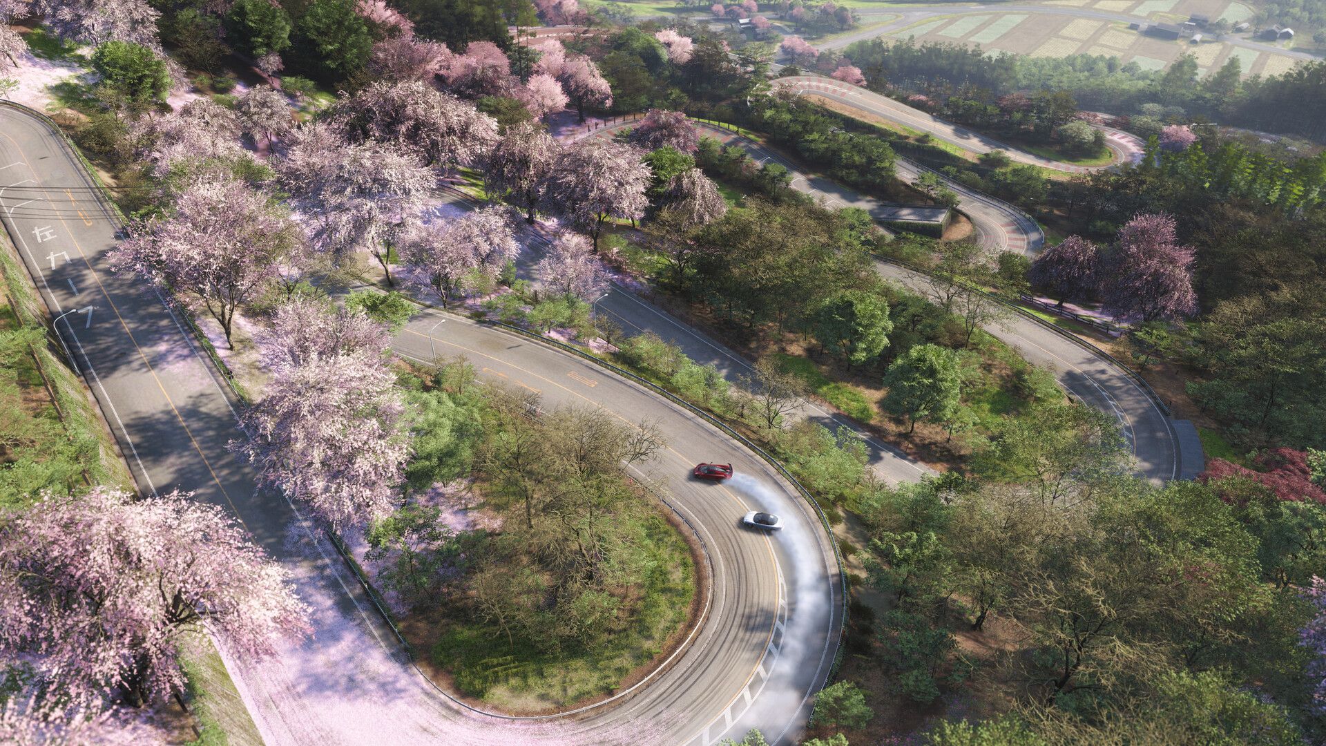 forza-horizon-6-press-image-6.jpg