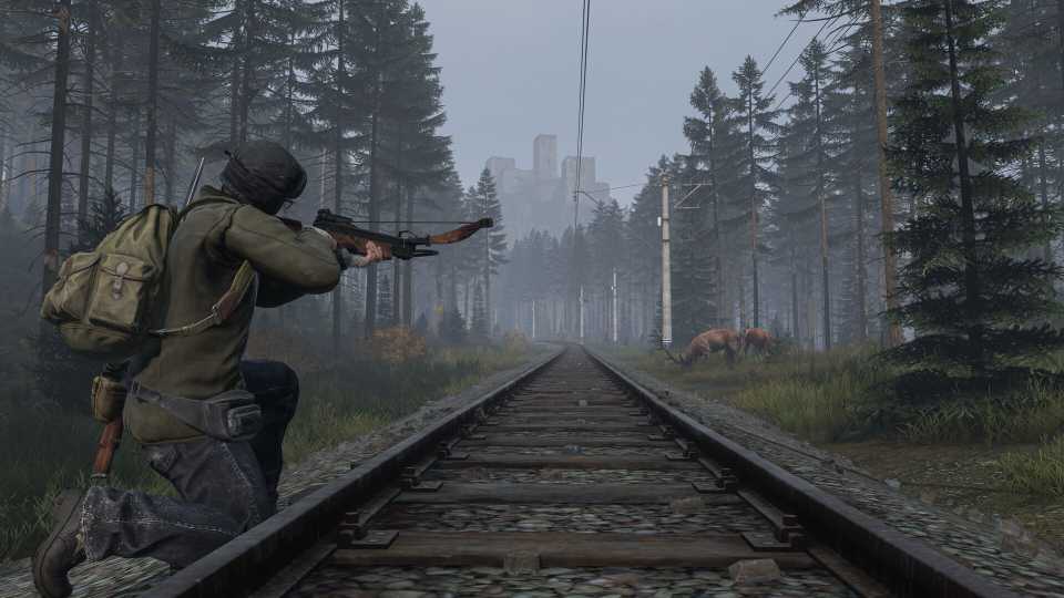 Dayz Plus DayZ's PS Plus Release Is Bringing In A Lot Of New, Confused Players
