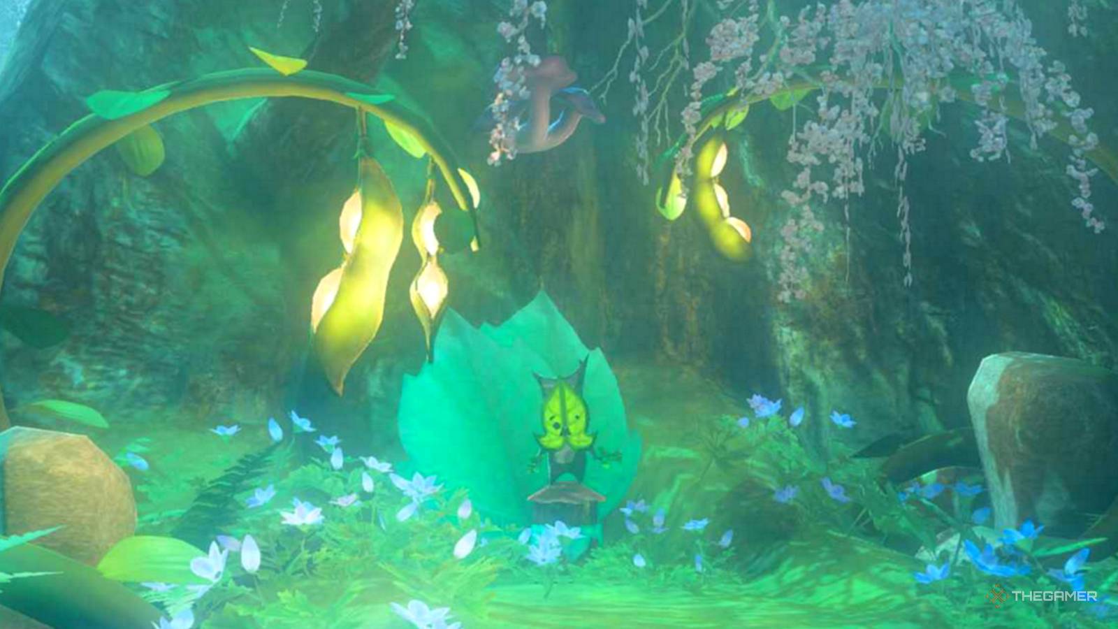 walton-on-top-of-the-great-deku-tree-in-the-korok-forest-walton-s-treasure-hunt-locations-totk-tears-of-the-kingdom-1.jpg?w=1600&h=900&fit=crop