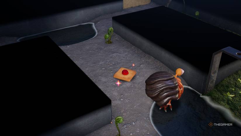 Every Serene Shores Treasure Location In Pikmin 4