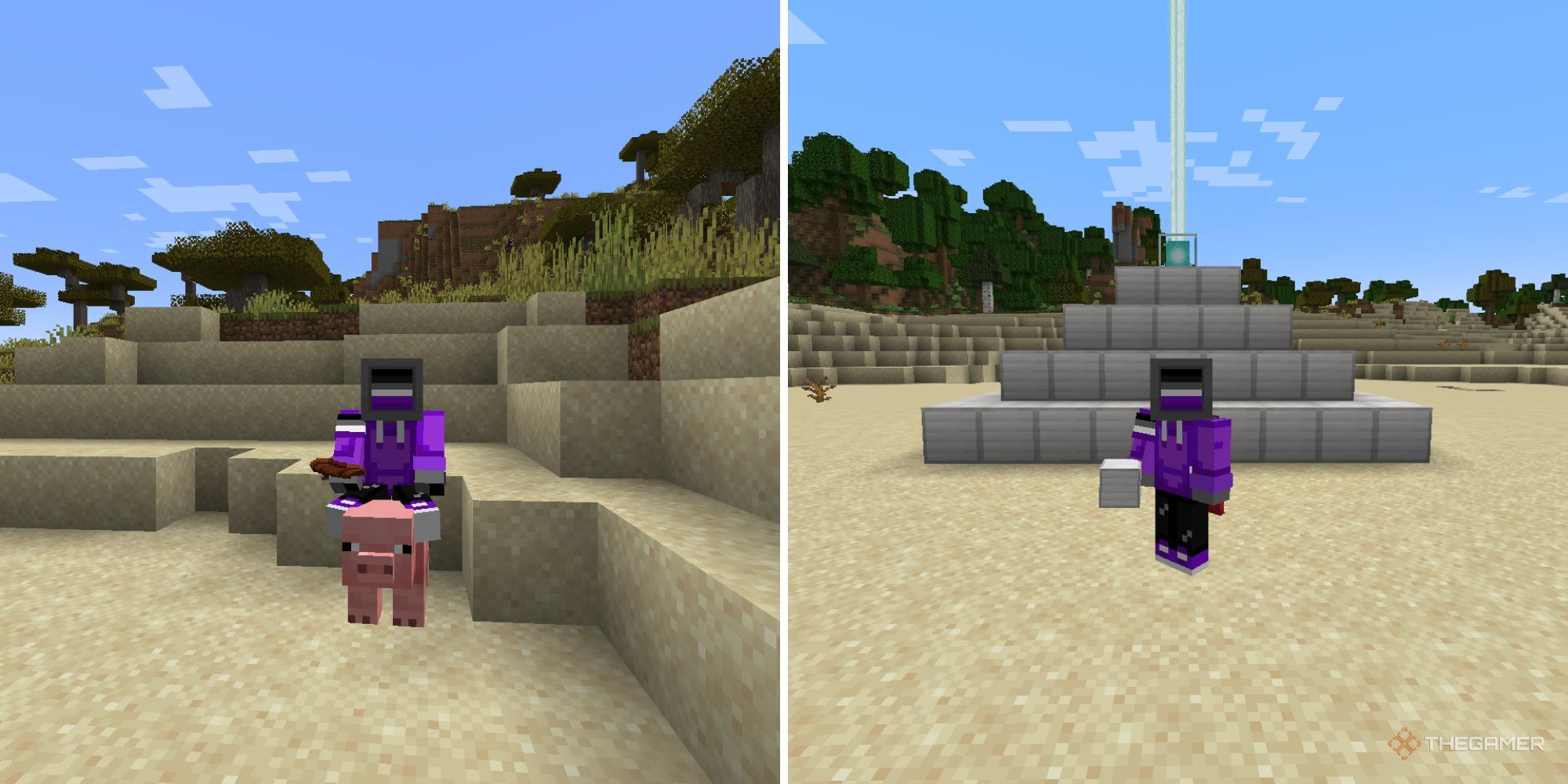 A split image of a player wearing Asexual flag colors in the desert riding a pig and standing near a max power, iron block beacon.