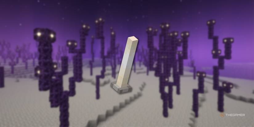 The Best Loot In End Cities In Minecraft