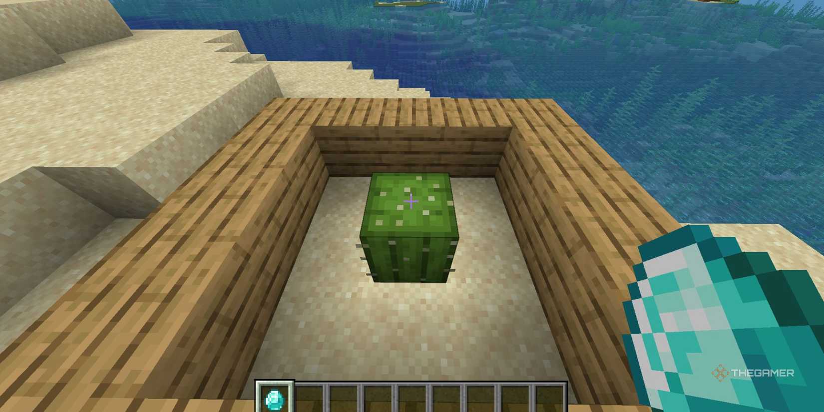 The Best Things You Can Do With A Cactus In Minecraft