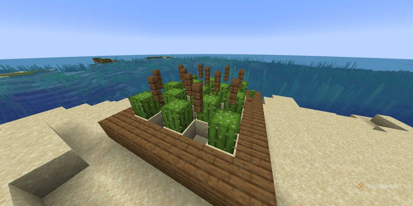 The Best Things You Can Do With A Cactus In Minecraft