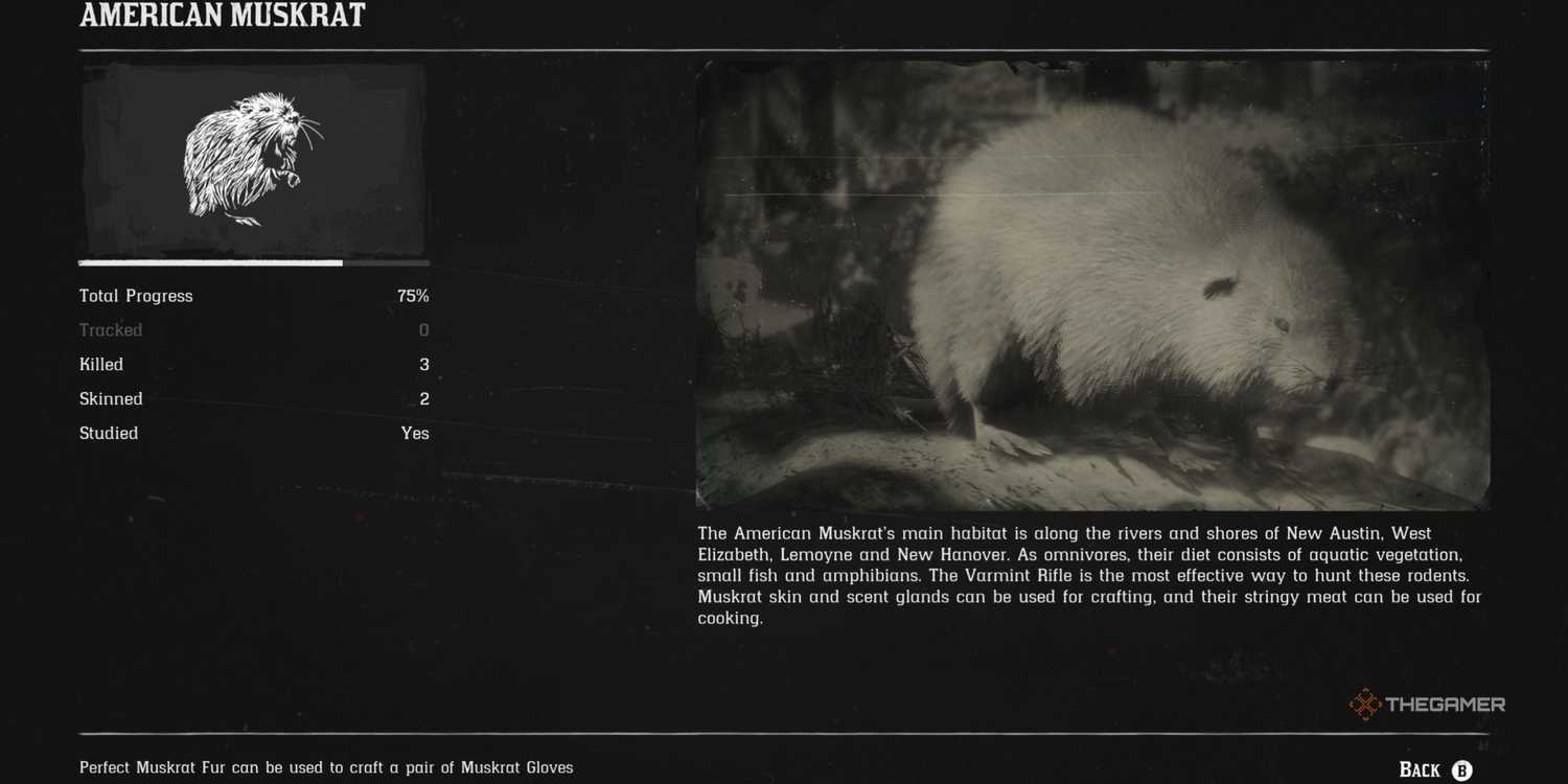 Muskrats Rdr2 Where To Find The Hardest Non-Legendary Animals To Hunt In Red Dead ...