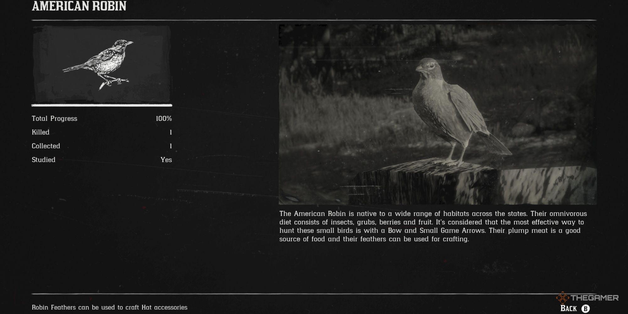 Where To Find The Hardest Non-Legendary Animals To Hunt In Red Dead ...